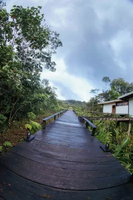 Cedro Amazon Lodge Hotels in 