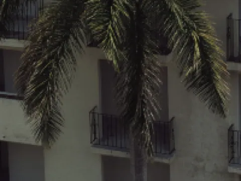 Hotel Master Club Hoteles en Tequesquitengo