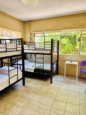Casa Artemisa hostal