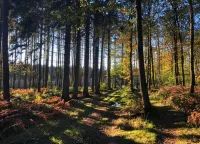 Charming Stay in Viroinval