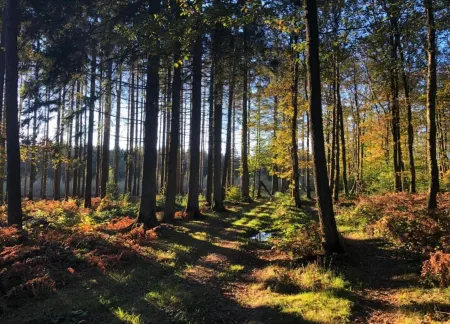 Charming Stay in Viroinval