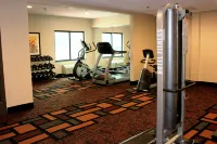 Holiday Inn Express & Suites MOBILE WEST - I-10 by IHG - Gym