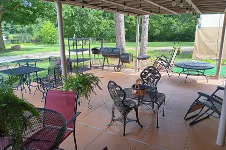 Joy in the Beauty of Nature