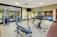 Embassy Suites by Hilton Lexington/UK Coldstream - Gym