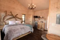 The Riverbirch Treehouse-close to town yet steps away from total wilderness