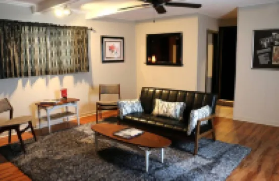 韋科的Elvis之家