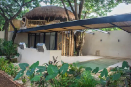 Amazing apartment with private terrace in Mérida