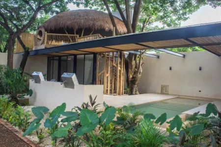 Amazing apartment with private terrace in Mérida