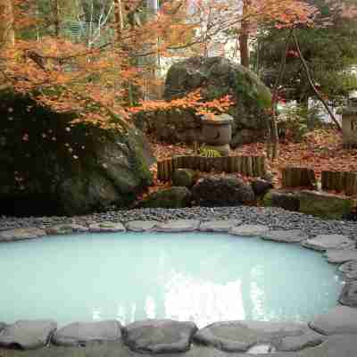 野沢温泉ホテル Fitness & Recreational Facilities