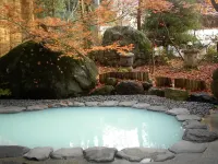 Nozowaonsen Hotel Hotel a Nozawaonsen