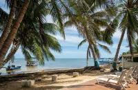 Hotel San Luis Place by Dorado - Beach