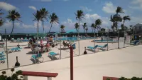 35' Seawall Sparkling , 30min from Keywest, WIFI, BBQ Grill, Pool
