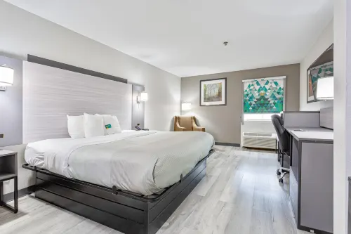 Quality Inn Edmund Pettus Bridge Area Hotels in Selma