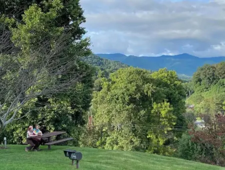 Awesome House in Downtown Sylva! Отели в г. Сильва