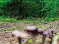 4 person holiday home in Hovborg-By Traum Hotels in Hovborg