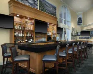 Hilton Indianapolis Hotel & Suites - Baarit