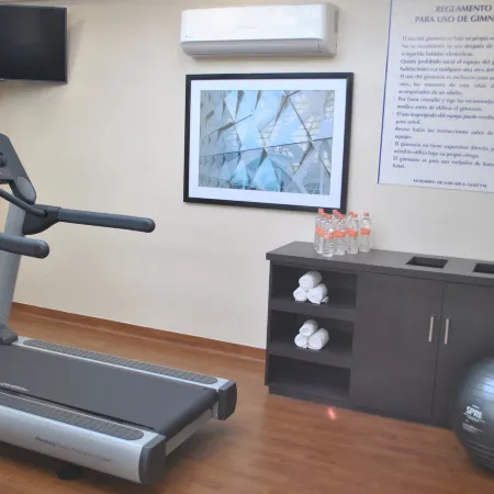 Holiday Inn Express TOLUCA by IHG