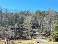 Spacious 5-king bedroom cabin with private bathrooms minutes from Asheville. - Wifi