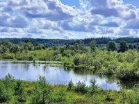 6 person holiday home in Silkeborg-By Traum - Homestays