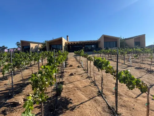 Casa Vall Luxury Valley Life Hotels in Guadalupe