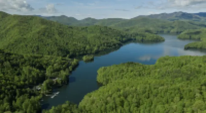 Wayah Ridge度假屋