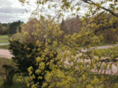 Outbounder Hotels in Bayfield