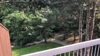 Crowne Plaza Toronto - North York - Romantic
