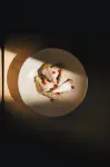 Vigilius Mountain Resort - 조식 운영