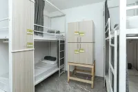 Casa Ecotrips Barra Funda - Hostel - بيوت الشباب