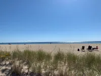 The Ocean View