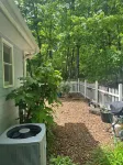 The Blue Cottage located in the woods on Lookout Mountain in Rising Fawn GA