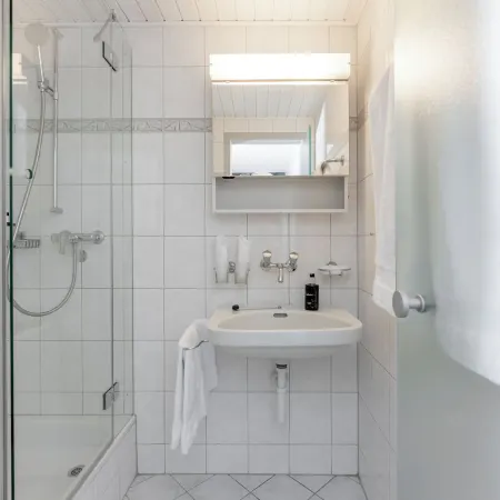 Hotel Seehof Laax