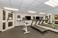 Comfort Inn West - Cho phép mang theo thú cưng