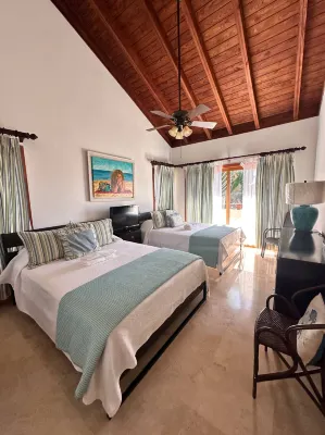 Villa with private pool and sea view in Samaná - Villas