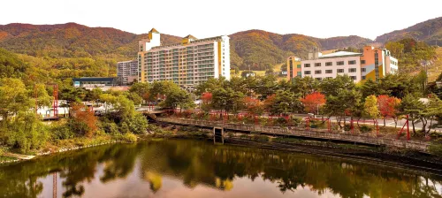 Wellihilli Park Resort - Parkplatz