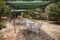 Amazonia Jungle Hotel - Pools