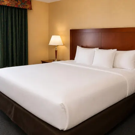 Comfort Inn & Suites Ambassador Bridge