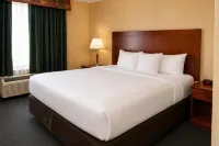 Comfort Inn & Suites Ambassador Bridge - Pools