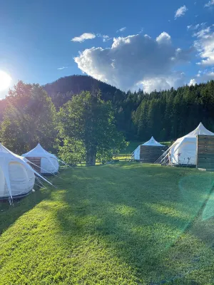 Bear Spring Eco Retreat - 3 stjerner