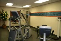 Hampton Inn & Suites Oxford-Anniston - Træningscentre