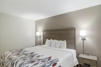 Red Roof Inn Darien - I-95/ North Brunswick - 2-Star