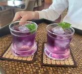 雅典娜酒店 - 酒吧