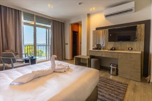 Regency Nile Hotel Assuit - internet