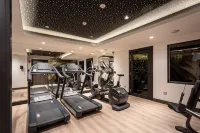 voco STRASBOURG CENTRE - THE GARDEN by IHG - Gym