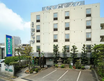 Hotel Cerezo