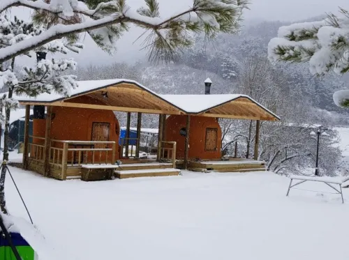 Hongcheon Alpaca Picnic Pension