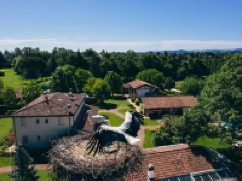 Villa Abbondanzi Resort Hotels in Faenza