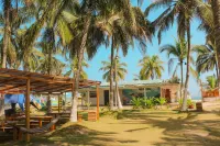 Palmarito Beach Hotel Отели в г. 