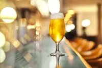 Maxx Hotel Sanssouci Potsdam - bar