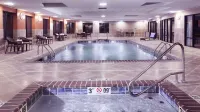 Holiday Inn Express & Suites MORGAN CITY - TIGER ISLAND by IHG - piscine
